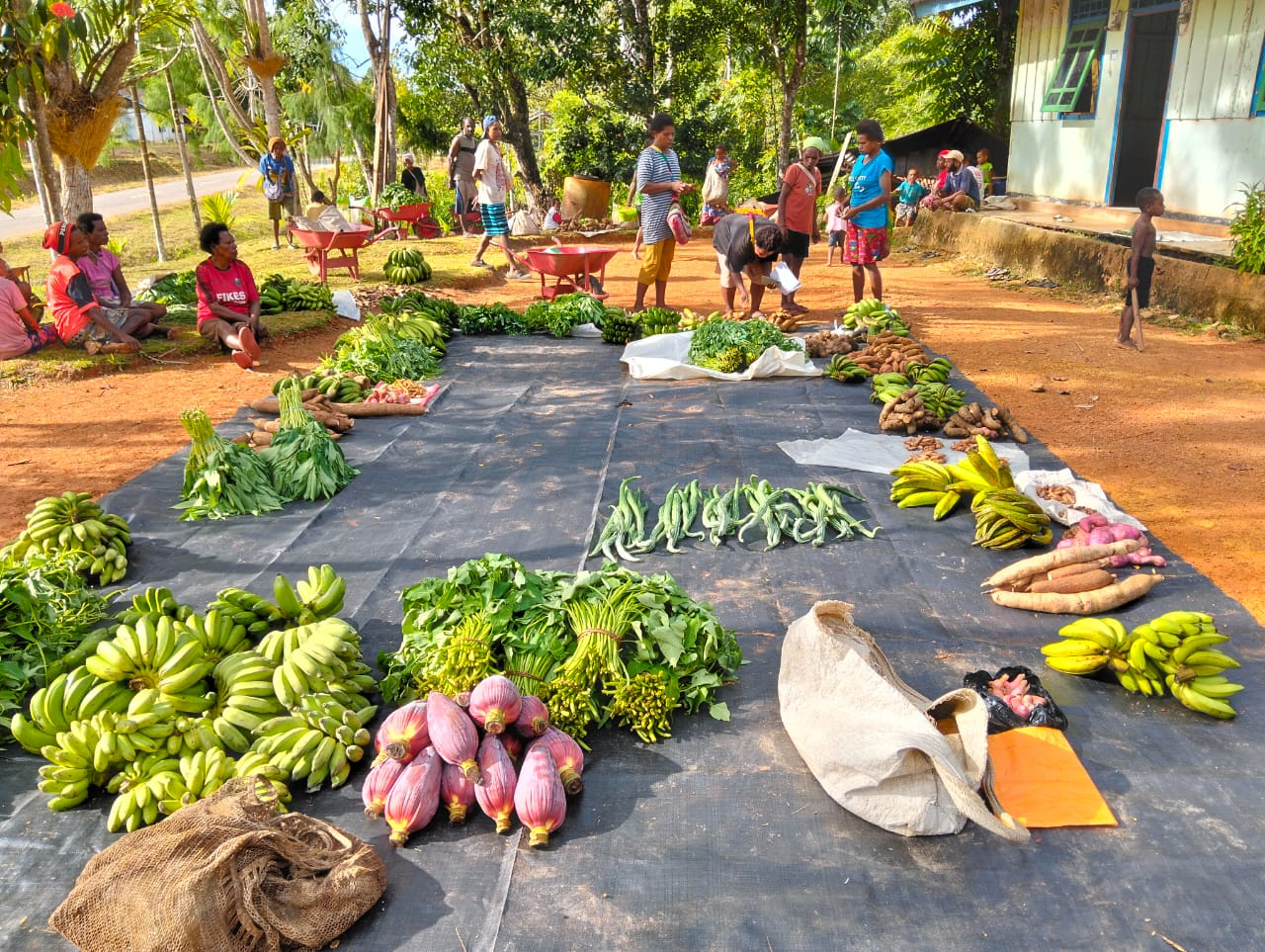 Mendorong Ekonomi Hijau dan Biru bagi Masyarakat Adat